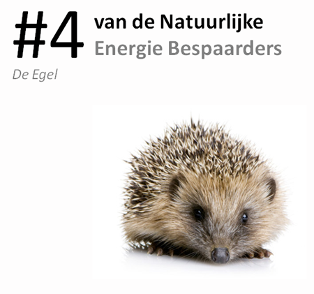 #4 van de natuurlijke energie bespaarders: de egel